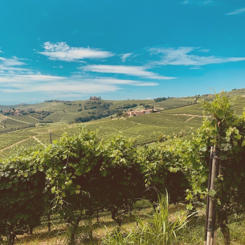 Piedmont